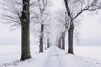 winter Nederland